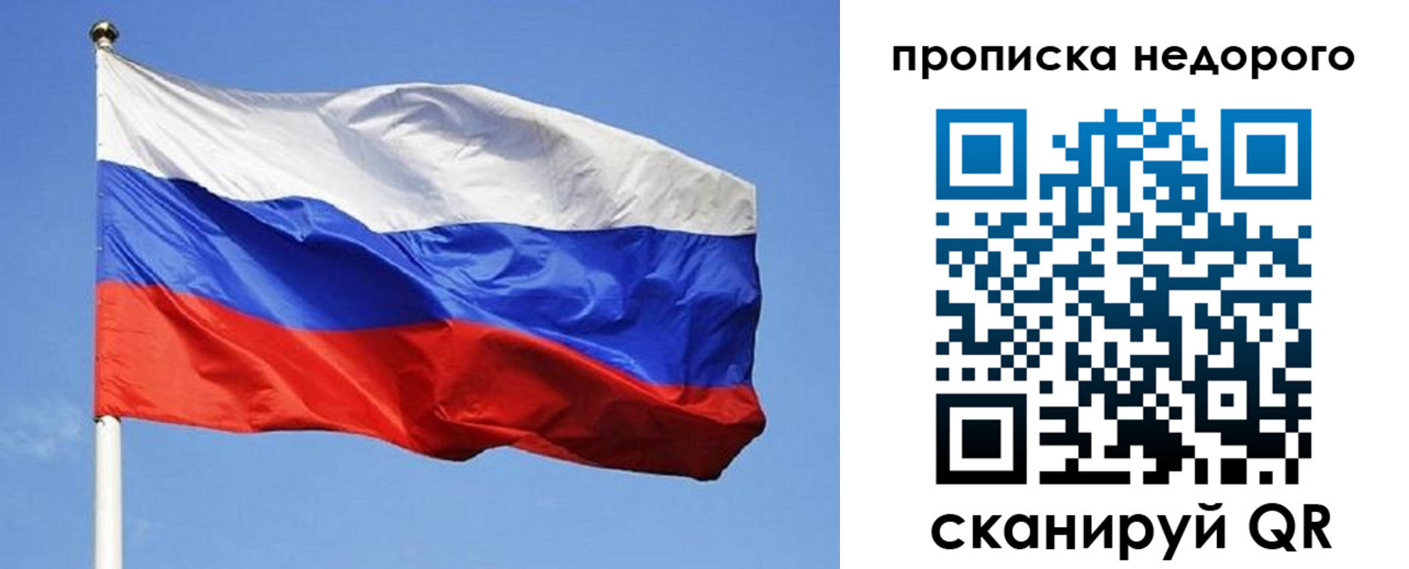 прописка для школы в Долгопрудном